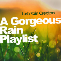 Lush Rain Creators - A Gorgeous Rain Playlist