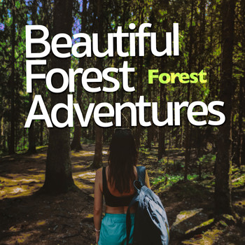 Forest - Beautiful Forest Adventures