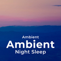 Ambient - Ambient Night Sleep