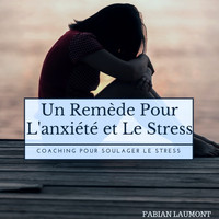 Fabian Laumont - Un remède pour l'anxiété et le stress (Coaching pour soulager le Stress)