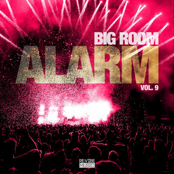 Various Artists - Big Room Alarm, Vol. 10
