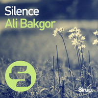 Ali Bakgor - Silence