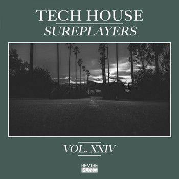Various Artists - Tech House Sureplayers, Vol. 24