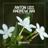 Anton Liss & Andrew Rai - See You Again