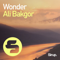 Ali Bakgor - Wonder