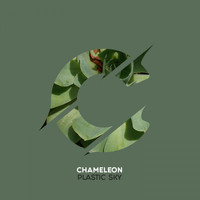 CHAMELEON - Plastic Sky