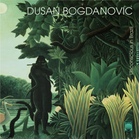 Dusan Bogdanovic - Unconscious in Brazil