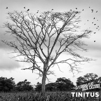 Tinitus - La Llorona (feat. Jack Cassidy)