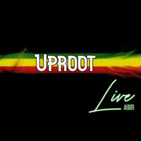 UpRoot - Uproot Live