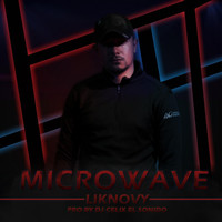 Liknovy - Microwave (Explicit)