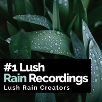 Lush Rain Creators - #1 Lush Rain Recordings