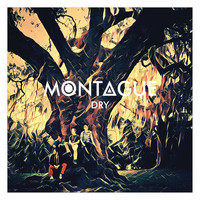 Montague - Dry