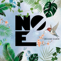 Noé - Déjame Saber