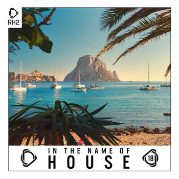 Various Artists - In the Name of House, Vol. 18