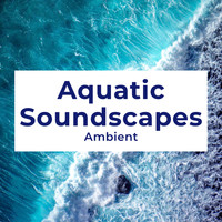 Ambient - Aquatic Soundscapes