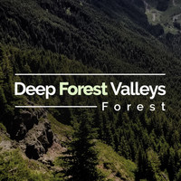 Forest - Deep Forest Valleys