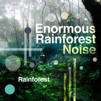 Rainforest - Enormous Rainforest Noise