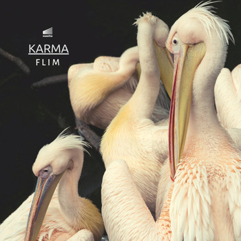 Flim - Karma (Explicit)
