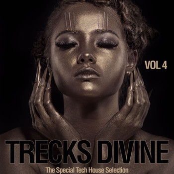Various Artists - Trecks Divine, Vol. 4 (The Special Tech House Selection)