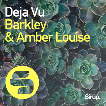 Barkley & Amber Louise - Deja Vu