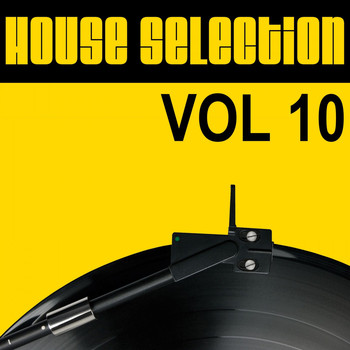 Various Artists - House Selection, Vol. 10