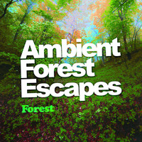 Forest - Ambient Forest Escapes