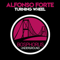 Alfonso Forte - Turning Wheel