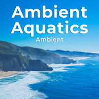 Ambient - Ambient Aquatics