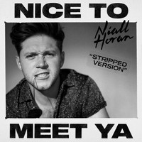 Niall Horan - Nice To Meet Ya (Stripped Version)