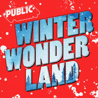 Public - Winter Wonderland