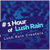 Lush Rain Creators - # 1 Hour of Lush Rain