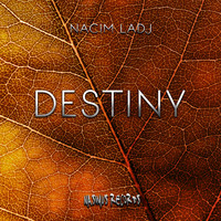 Nacim Ladj - Destiny