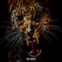 Nacim Ladj - Cheetah / Sultan