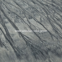 Steve Jansen - Tender Extinction