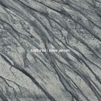 Steve Jansen feat. Thomas Feiner - Captured