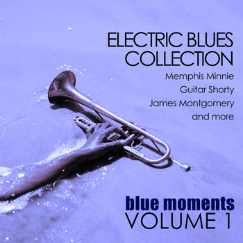 Various Artists / Various Artists - Electric Blues Collection: Blue Moments, Volume 1
