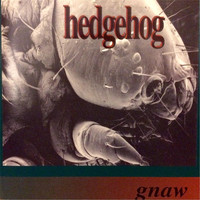 Hedgehog - Gnaw (Explicit)
