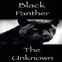 The Unknown - Black Panther (Explicit)