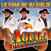 Aguila Hidalguense - La Vara De Mi Violín