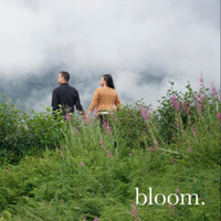 Bloom - Shallow
