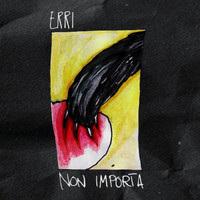 ERRI - Non importa