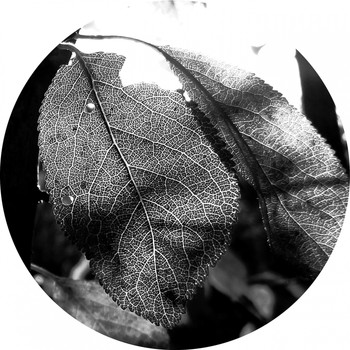 Various Artists - Affinity 3