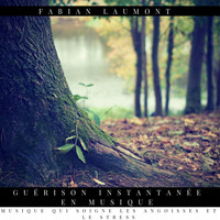 Fabian Laumont - Guérison Instantanée en Musique (Musique Qui Soigne Les Angoisses Et Le Stress)