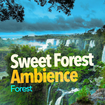 Forest - Sweet Forest Ambience