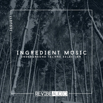 Various Artists - Ingredient Music, Vol. 17