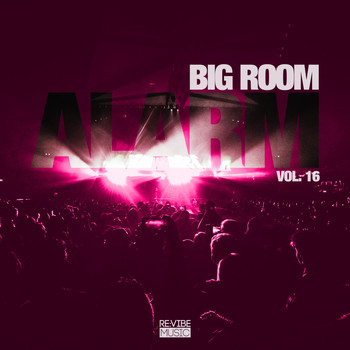 Various Artists - Big Room Alarm, Vol. 16