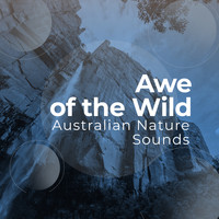 Australian Nature Sounds - Awe of the Wild