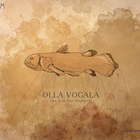 Olla Vogala - Live in De Sint-Baafsabdij