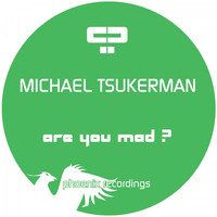 Michael Tsukerman - Are You Mad?
