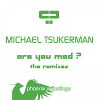 Michael Tsukerman - Are You Mad? (The Remixes)